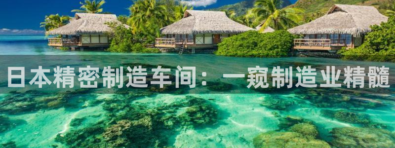 彩神iv是正规平台吗?：日本精密制造车间：一窥制造业精髓