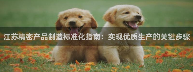 彩神v8客户端：江苏精密产品制造标准化指南：实现优质生产的关键步骤