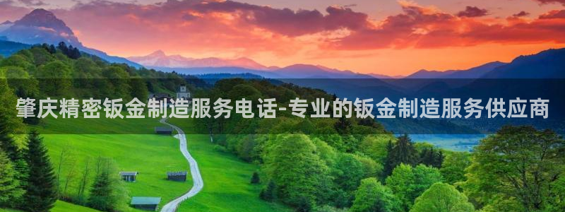 彩神vlll官方网：肇庆精密钣金制造服务电话-专业的钣金制造服务供应商