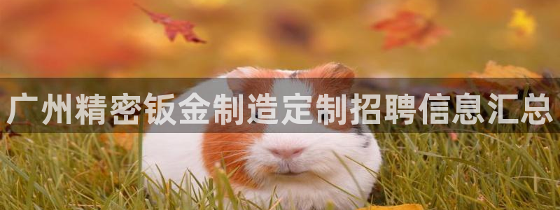 彩神Vll购彩大厅