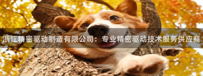 彩神vip购彩