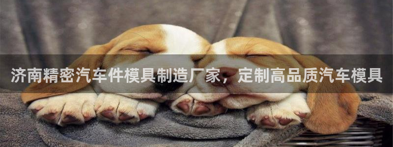 彩神8是正规平台吗知乎