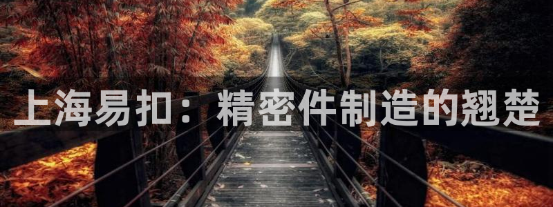 彩神ix可靠吗