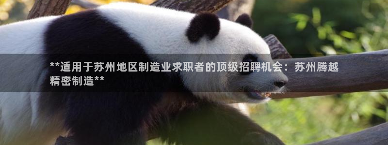 彩神vll购彩大厅