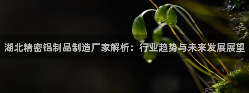 彩神xapp官方网站