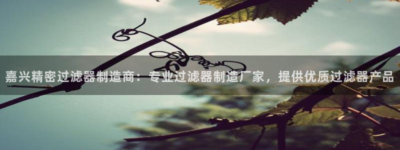 v彩神88iii