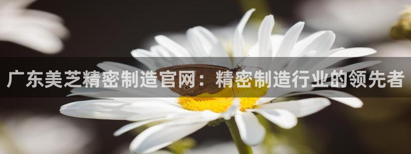 下载彩神乐发V1