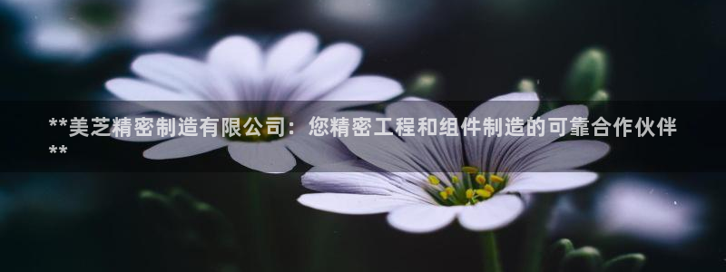 彩神V购彩大厅
