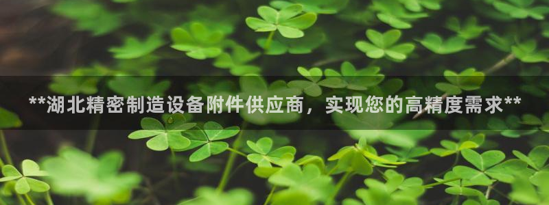 天天赢彩神