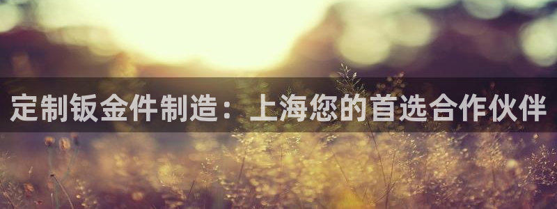 彩神vlll游戏特色