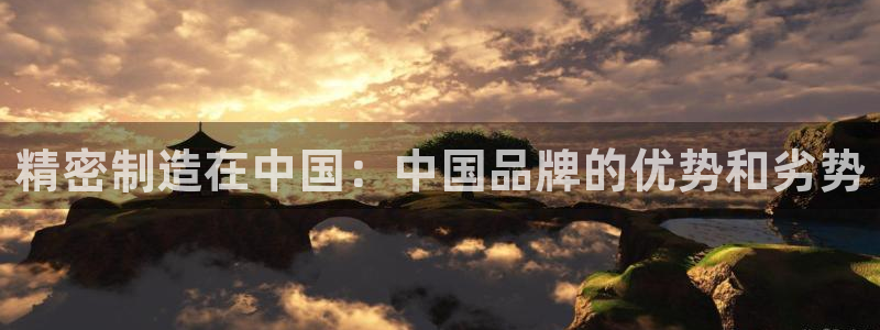 彩神v8下载网址：精密制造在中国：中国品牌的优势和劣势