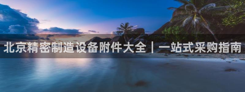彩神大发云