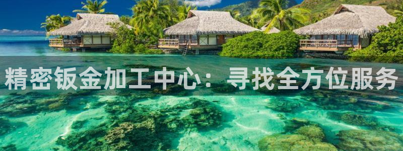 彩神vip购彩