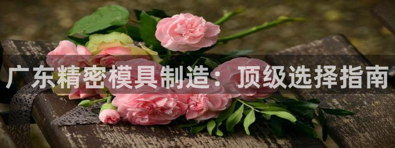 彩神8官网合法吗