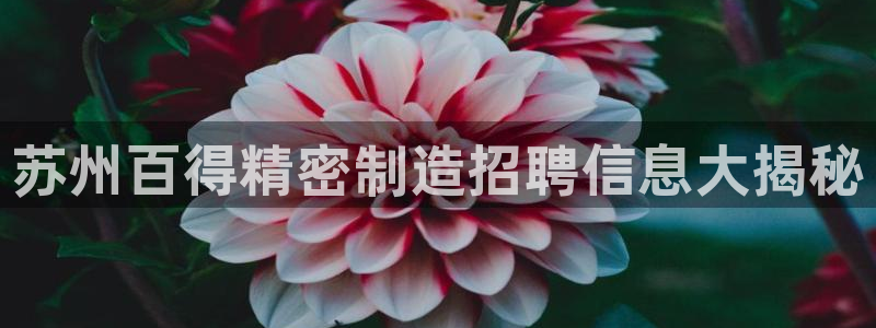 彩神购彩-购彩大厅入口计划群