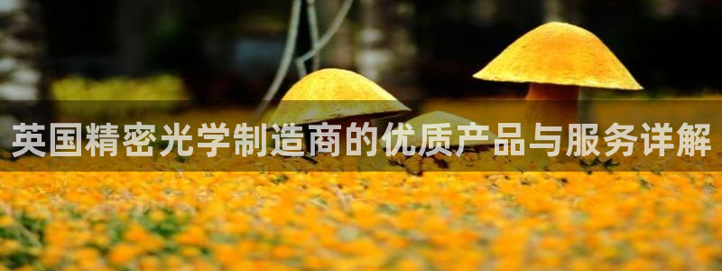 彩神争霸官方登录：英国精密光学制造商的优质产品与服务详解