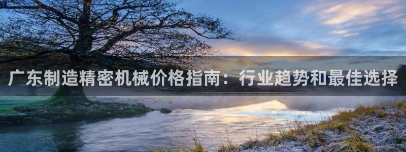 彩神V集团公司：广东制造精密机械价格指南：行业趋势和最佳选择