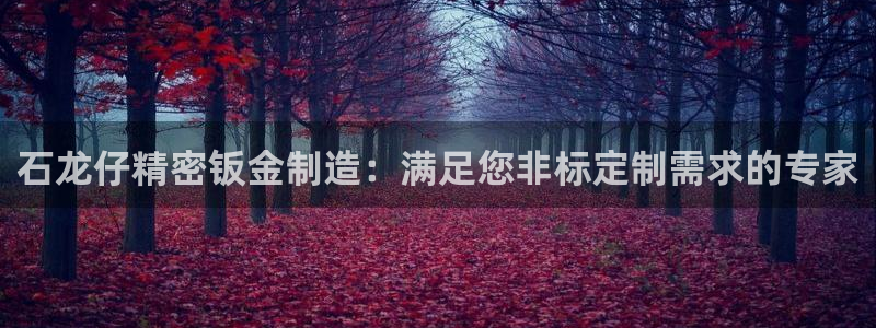 彩神v8平台正规吗：石龙仔精密钣金制造：满足您非标定制需求的专家