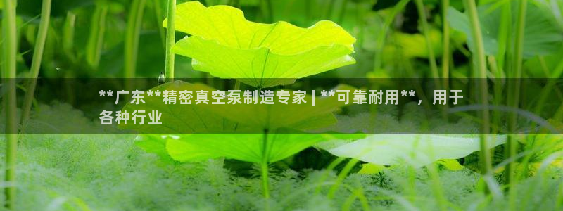 彩神赢了钱登录不上去：**广东**精密真空泵制造专家 | **可靠耐用**，用于
各种行业