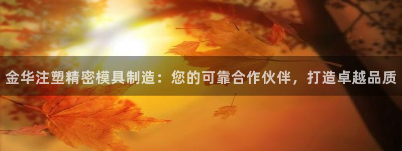 彩神VII官方版：金华注塑精密模具制造：您的可靠合作伙伴，打造卓越品质