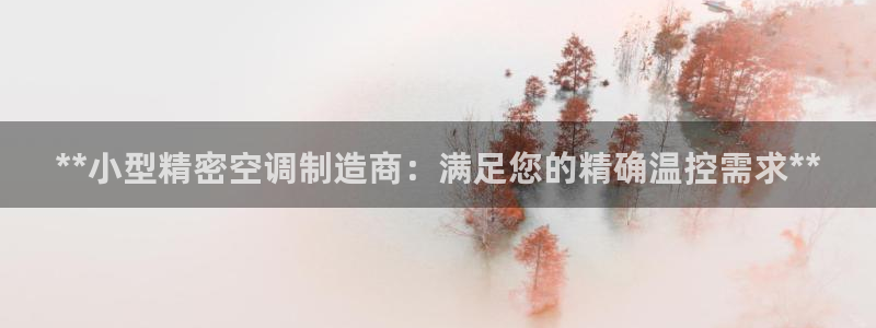 彩神8官网500：**小型精密空调制造商：满足您的精确温控需求**