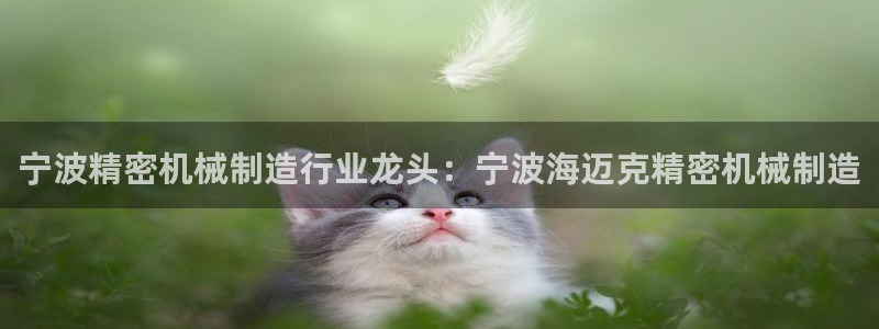 新版彩神v8登录教程：宁波精密机械制造行业龙头：宁波海迈克精密机械制造