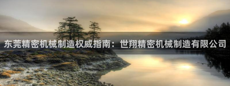 彩神vip官方网站：东莞精密机械制造权威指南：世翔精密机械制造有限公司