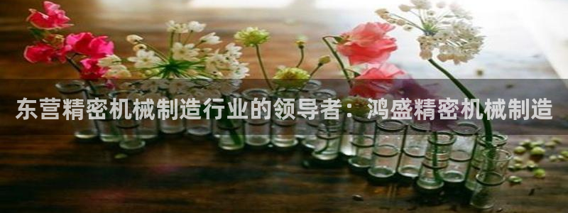 彩神vlll官网网上购彩：东营精密机械制造行业的领导者：鸿盛精密机械制造