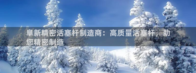彩神8购彩-购彩大厅：阜新精密活塞杆制造商：高质量活塞杆，助
您精密制造