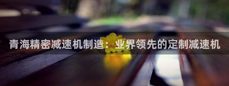 彩神vllⅰ购彩大厅：青海精密减速机制造：业界领先的定制减速机
