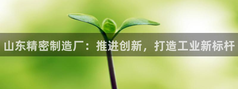 彩神官方网站登录是多少：山东精密制造厂：推进创新，打造工业新标杆