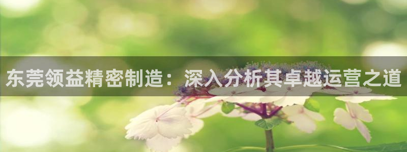 彩神v8手机客户端在哪：东莞领益精密制造：深入分析其卓越运营之道