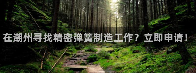 彩神v秘聊号码：在潮州寻找精密弹簧制造工作？立即申请！
