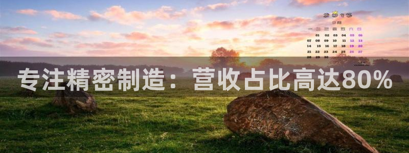 彩神v大众娱乐：专注精密制造：营收占比高达80%