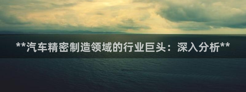 v大发彩神8iii：**汽车精密制造领域的行业巨头：深入分析**