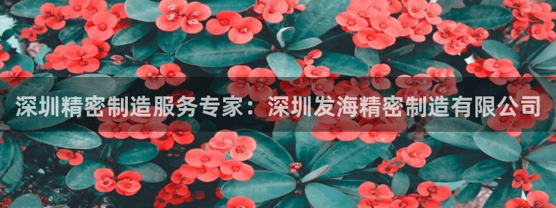 彩神系列平台：深圳精密制造服务专家：深圳发海精密制造有限公司