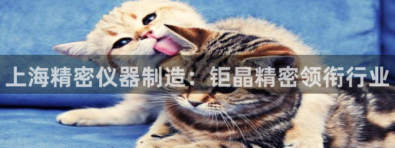 彩神怎么样可以提现：上海精密仪器制造：钜晶精密领衔行业