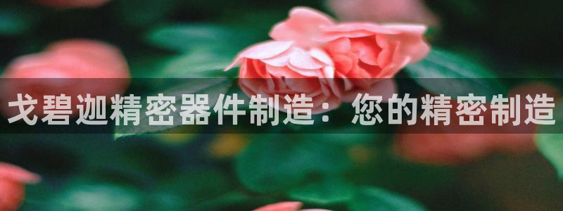 彩神v下载安装：戈碧迦精密器件制造：您的精密制造
