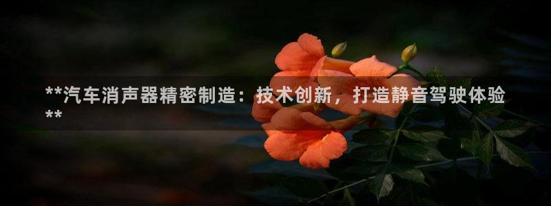 彩神vl购彩大厅：**汽车消声器精密制造：技术创新，打造静音驾驶体验
**