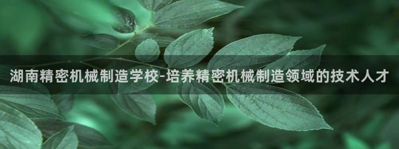 彩神vi争霸官网：湖南精密机械制造学校-培养精密机械制造领域的技术人才