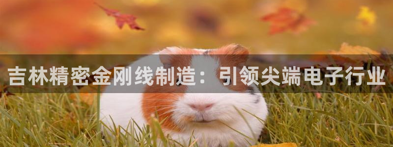 彩神ix是真的吗：吉林精密金刚线制造：引领尖端电子行业