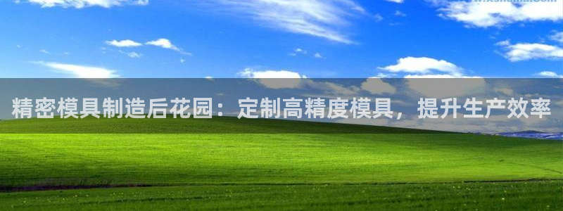 彩神vll购彩大厅大众：精密模具制造后花园：定制高精度模具，提升生产效率