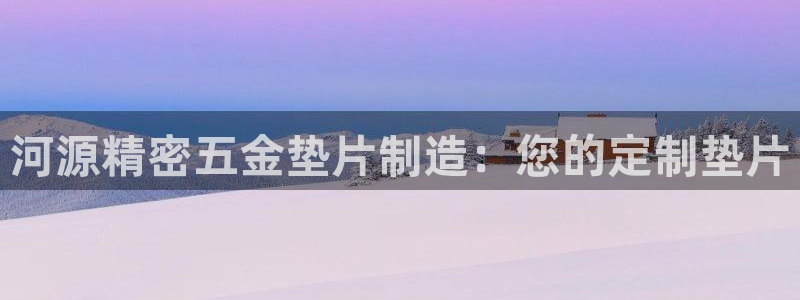 彩神大发黑平台：河源精密五金垫片制造：您的定制垫片