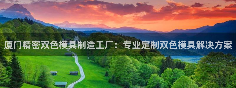 彩神是怎样一个平台赚钱的：厦门精密双色模具制造工厂：专业定制双色模具解决方案