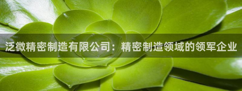 彩神vip官方网站：泛微精密制造有限公司：精密制造领域的领军企业