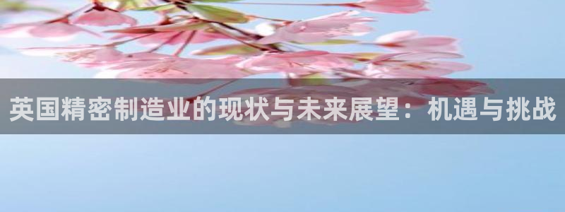 彩神v8几个版本：英国精密制造业的现状与未来展望：机遇与挑战