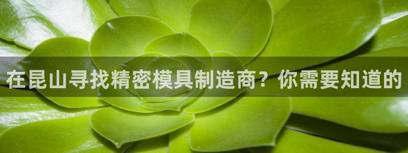 彩神vip购彩大厅：在昆山寻找精密模具制造商？你需要知道的
