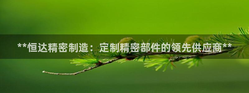 彩神v8iii：**恒达精密制造：定制精密部件的领先供应商**