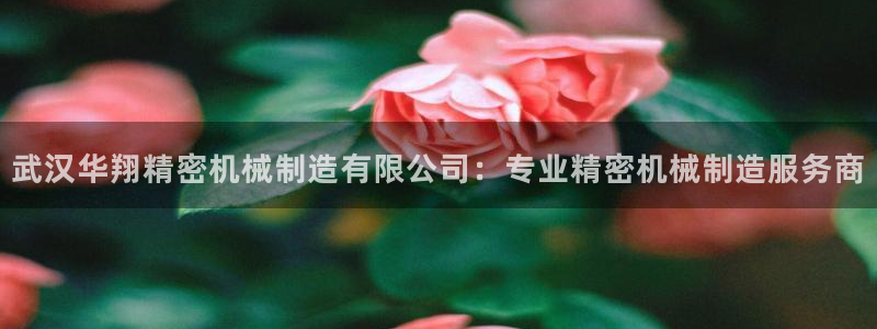 彩神争霸官网登录平台：武汉华翔精密机械制造有限公司：专业精密机械制造服务商