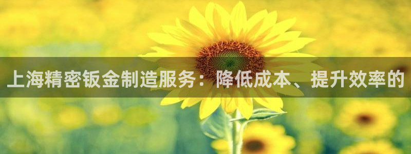 彩神vll官网-最新版app下载：上海精密钣金制造服务：降低成本、提升效率的
